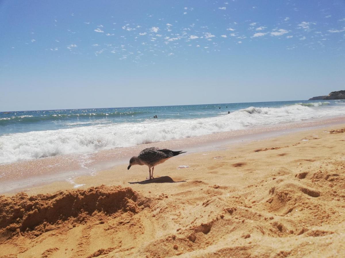 Apartamento Do Algarve Armação de Pêra 外观 照片